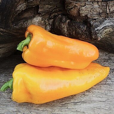 Длинный деликатес жёлтый